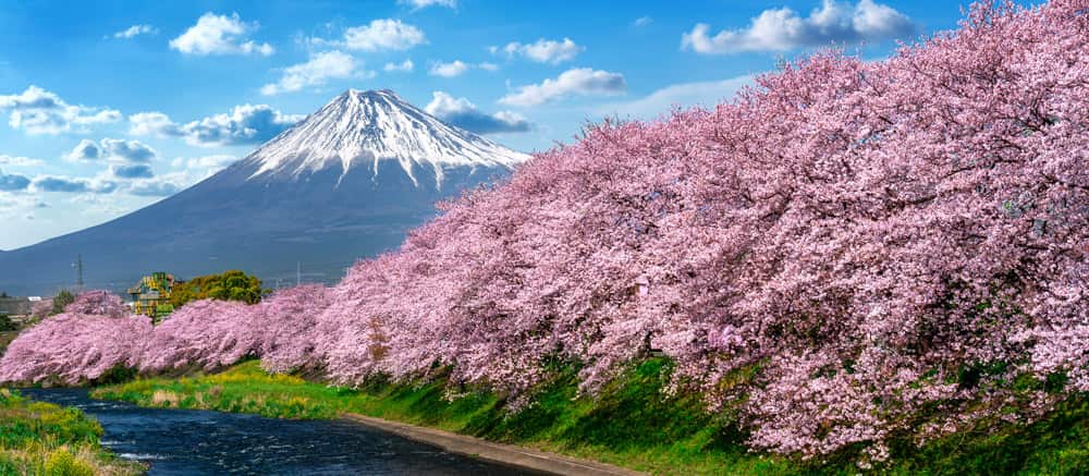 Nippon Travel