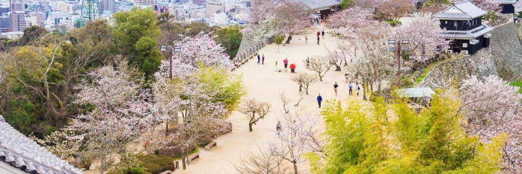 Nippon Travel