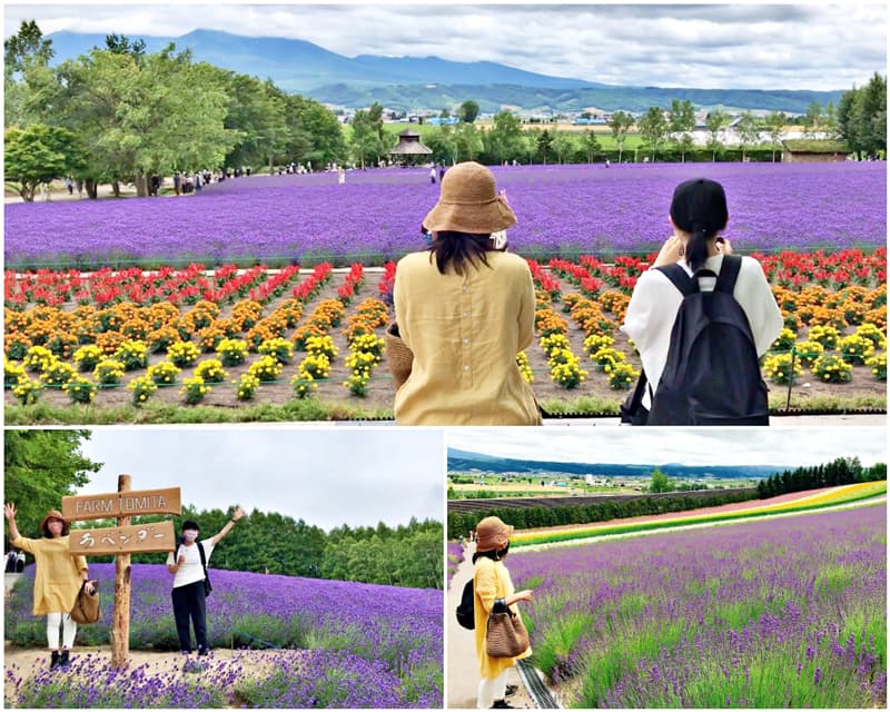 Furano Lavender Festival - Cánh đồng hoa Lavender Hokkaido