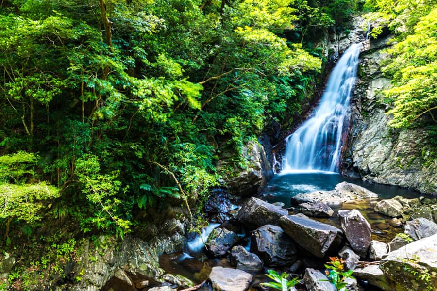 Đảo Okinawa Nhật Bản: Viên ngọc xanh của xứ Phù Tang Hiji Waterfall
