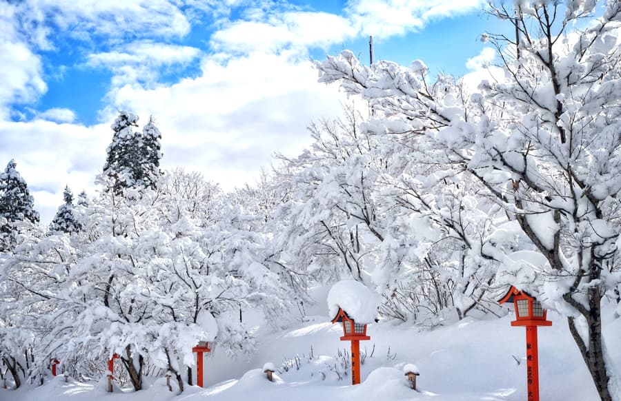 Quái vật tuyết ở núi Zao - Tohoku Nhật Bản