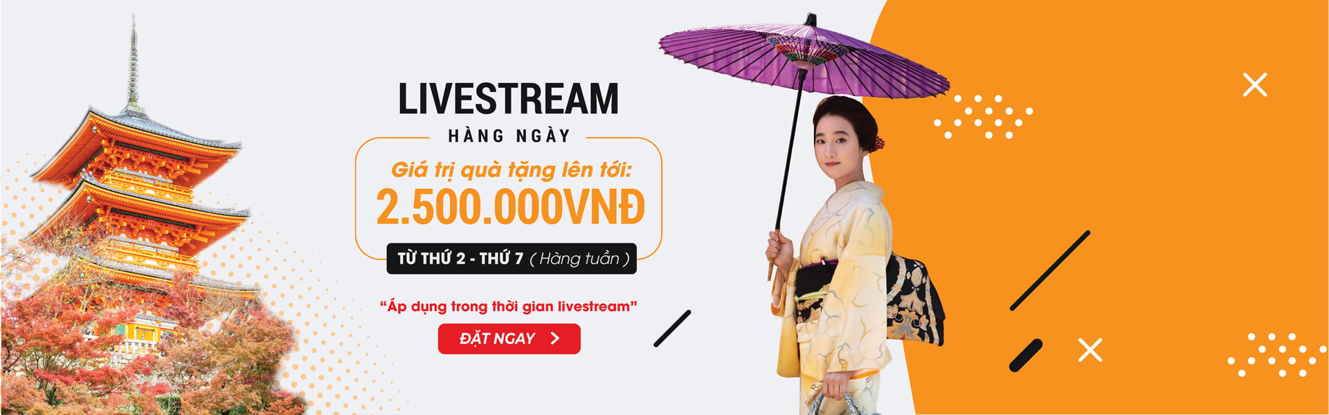 Ảnh vé máy bay Nippon Travel