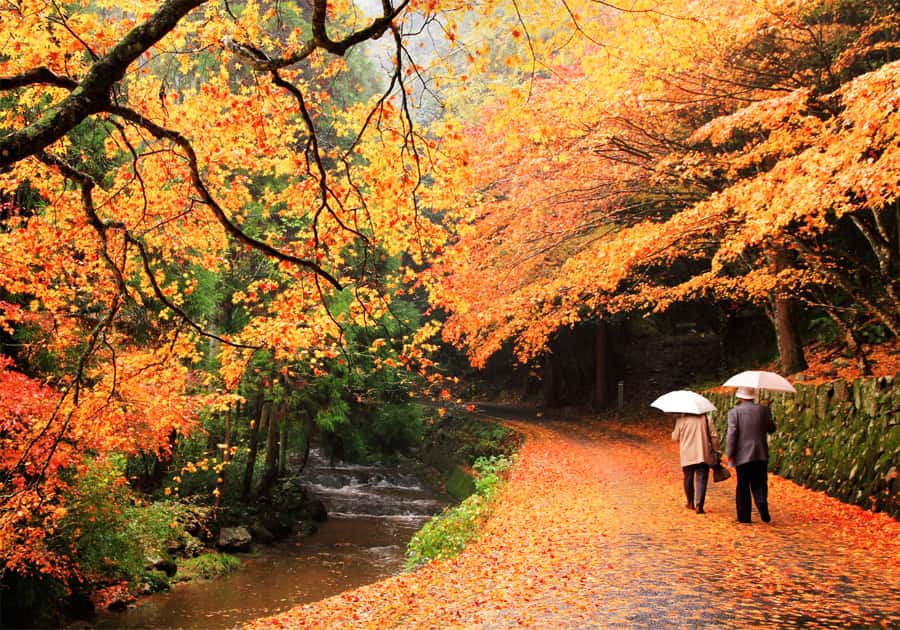 Khí hậu vùng Chugoku Nhật Bản