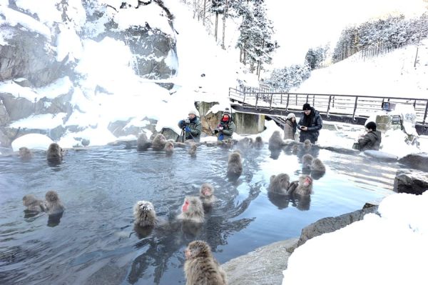 Hakuba Village: Thiên đường tuyết dưới chân núi Alps Công viên Jigokudani Yaen-koen ở Nagano