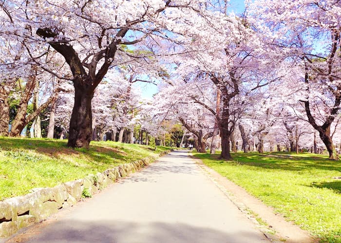 Công viên Omiya Park (Saitama)