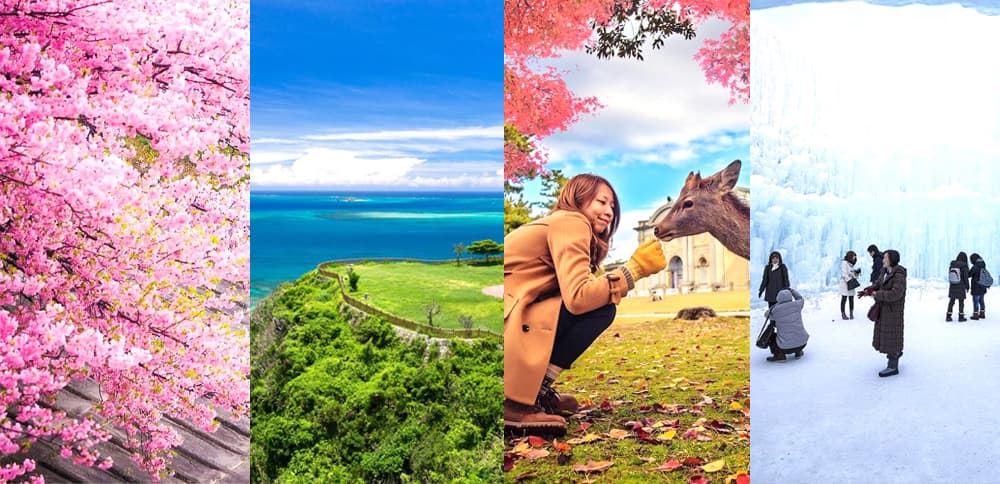 Đảo Okinawa Nhật Bản: Viên ngọc xanh của xứ Phù Tang Khí hậu trên đảo Okinawa Nhật Bản