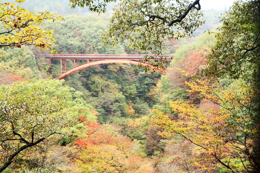 Mùa hè ở tohoku Nhật Bản