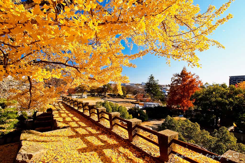 Du lịch Chugoku mùa nào là đẹp nhất?