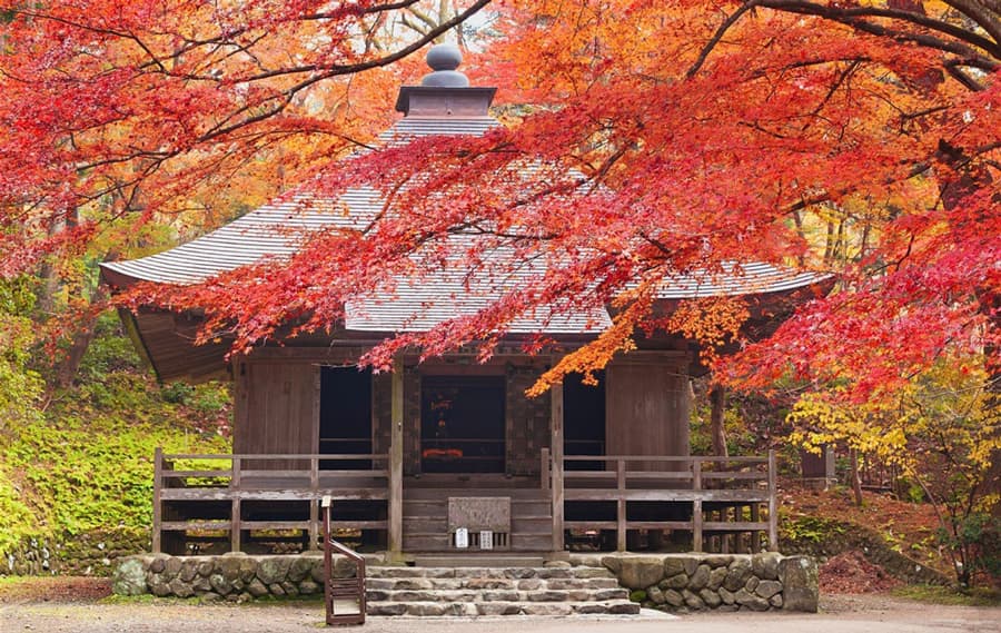 Mùa thu ở tohoku Nhật Bản