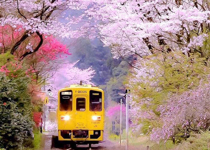 Tỉnh Oita Nhật Bản | Vùng Kyushu Nhật Bản