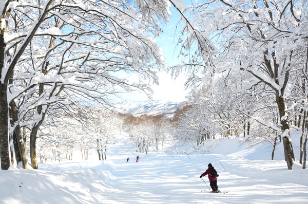 Asarigawa Onsen Ski Resort