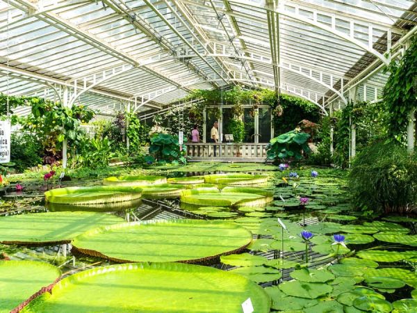 Botanic Garden Hokkaido University