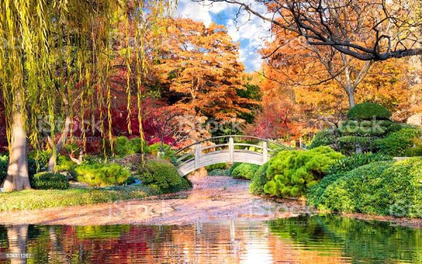 Botanic Garden Hokkaido University