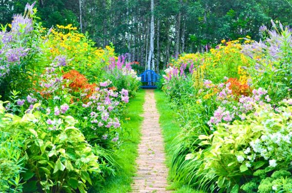 Ueno Farm - Check-in tại trang trại "Ngàn hoa" ở Hokkaido