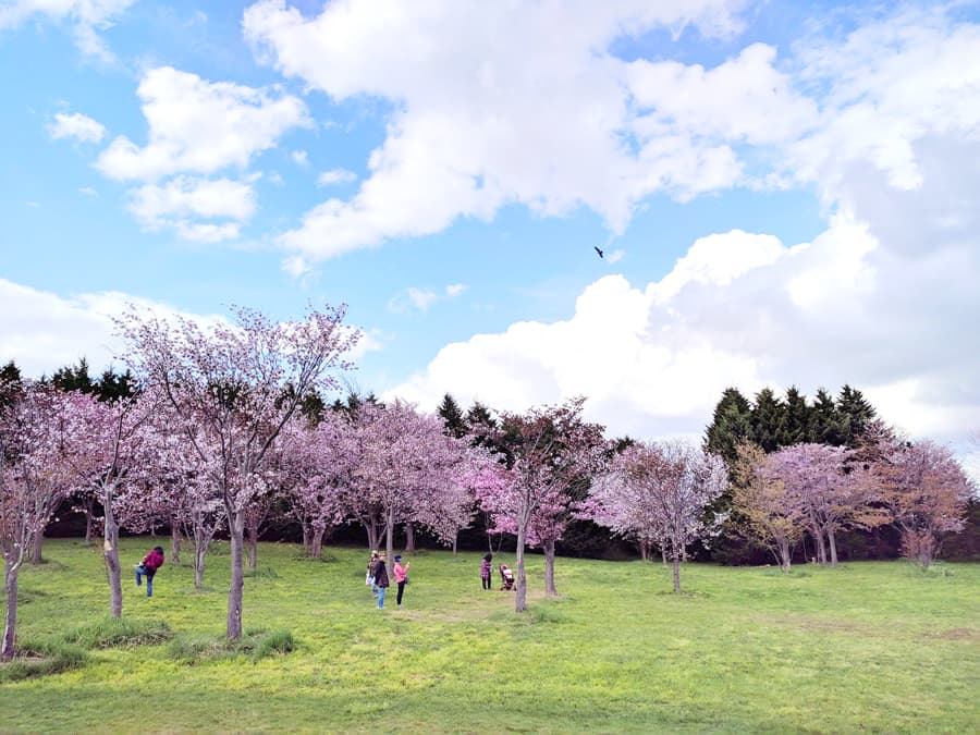 Công viên Moerenuma (Moerenuma Park)