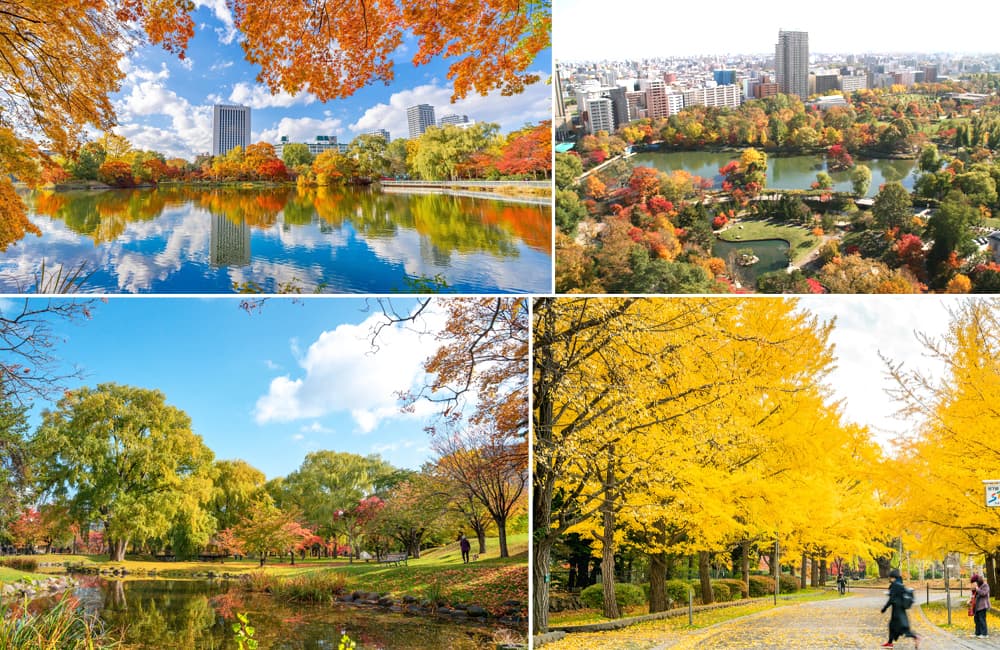 Công viên Nakajima (Nakajima Park)