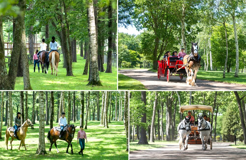 Northern Horse Park Tomakomai