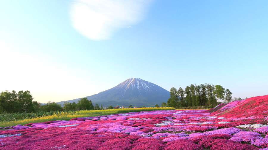 Núi lửa Yotei - Niseko Village