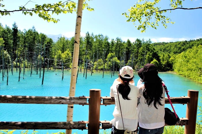 Shirogane Blue Pond (Hồ Biei): Hòn ngọc xanh ở thị trấn Biei