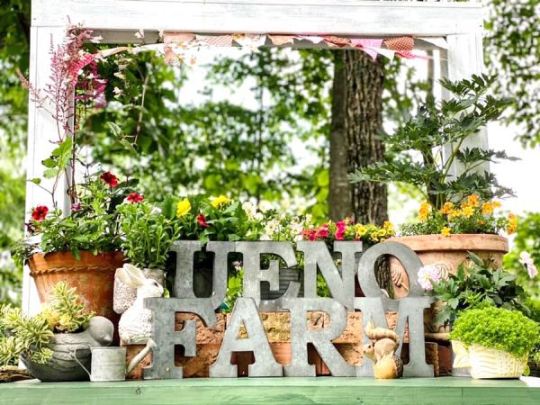 Ueno Farm - Check-in tại trang trại "Ngàn hoa" ở Hokkaido