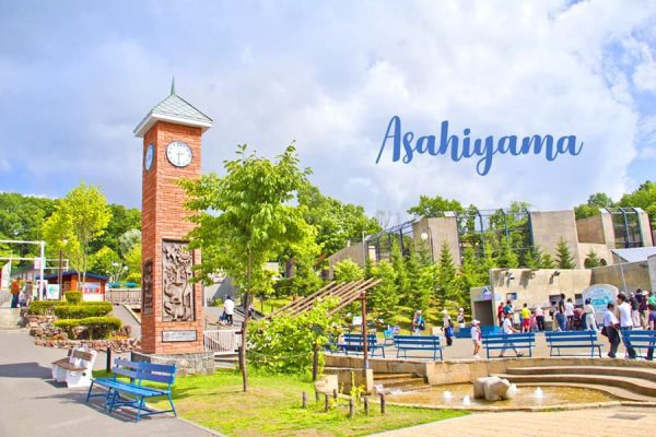 Asahiyama Zoo: Khu bảo tồn động vật xứ lạnh ở Hokkaido