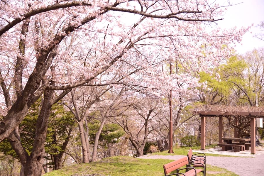 Công viên Otaru (Otaru Park)