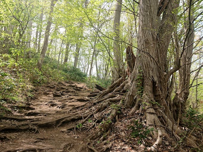 Núi Moiwa (Mount Moiwa) - Đài quan sát cao nhất Sapporo