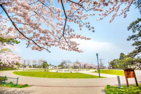 Hakodate Park: Viên ngọc quý của vùng Hokkaido