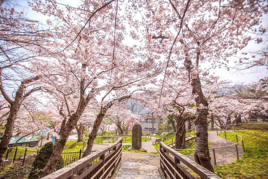 Hakodate Park: Viên ngọc quý của vùng Hokkaido