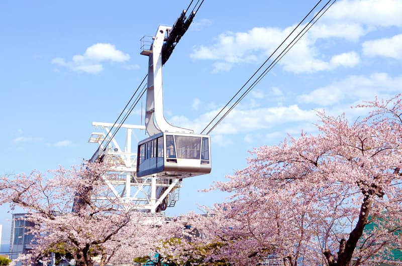 Mount Hakodate: View "Triệu đô" ngắm toàn cảnh Hakodate