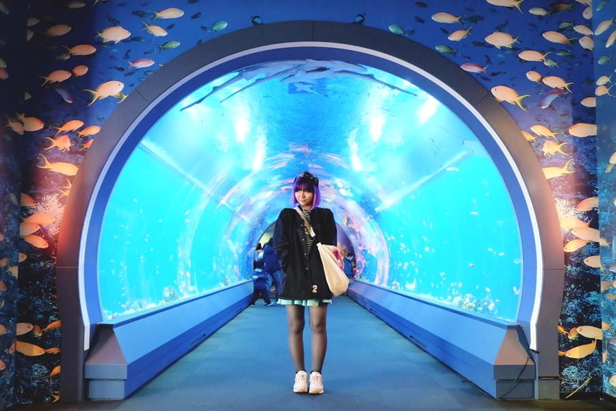 Otaru Aquarium: Khám phá thủy cung Otaru (Hokkaido)