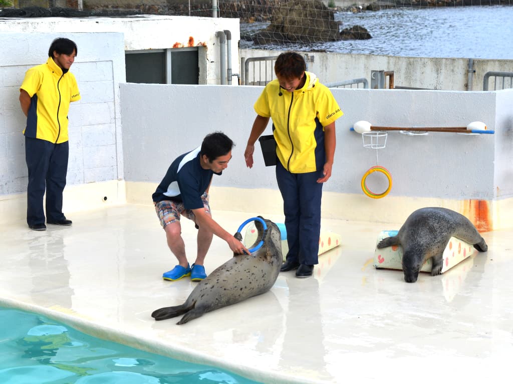 Otaru Aquarium: Khám phá thủy cung Otaru (Hokkaido)