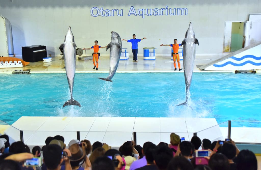 Otaru Aquarium: Khám phá thủy cung Otaru (Hokkaido)