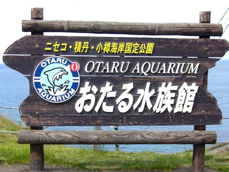 Otaru Aquarium: Khám phá thủy cung Otaru (Hokkaido)