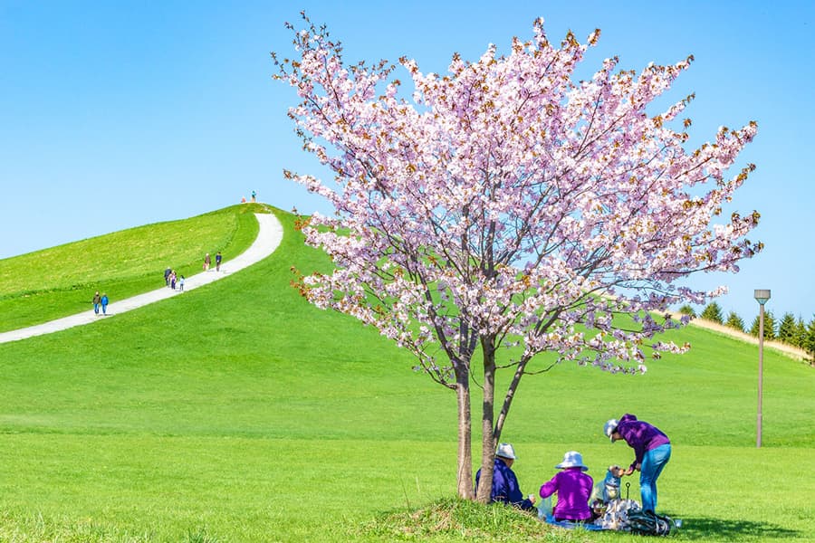 Moerenuma Park: Công viên nghệ thuật độc đáo nhất Hokkaido