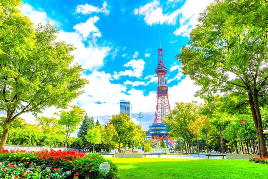 Sapporo TV Tower - mùa hè