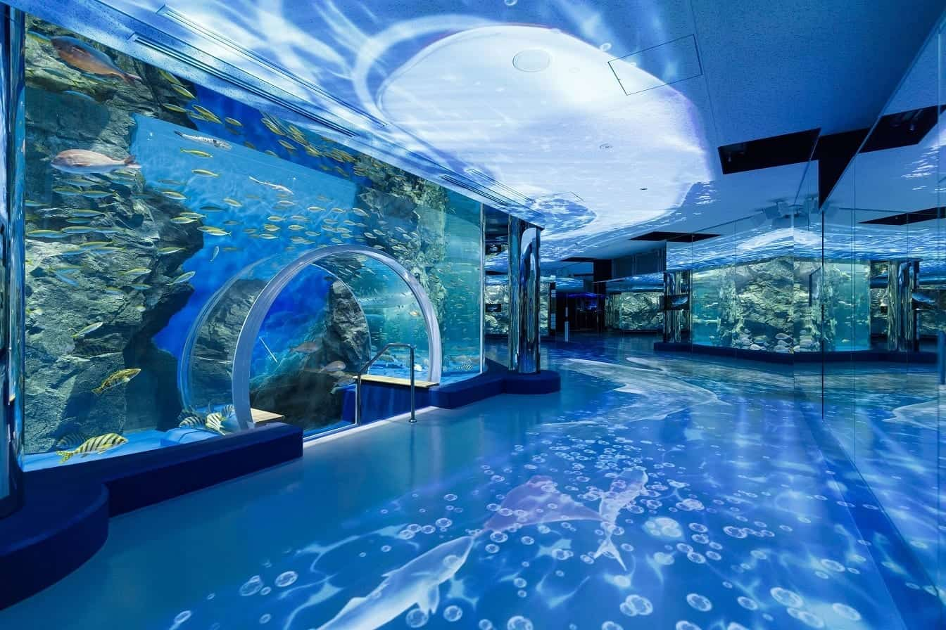 Thủy cung Otaru (Otaru Aquarium)