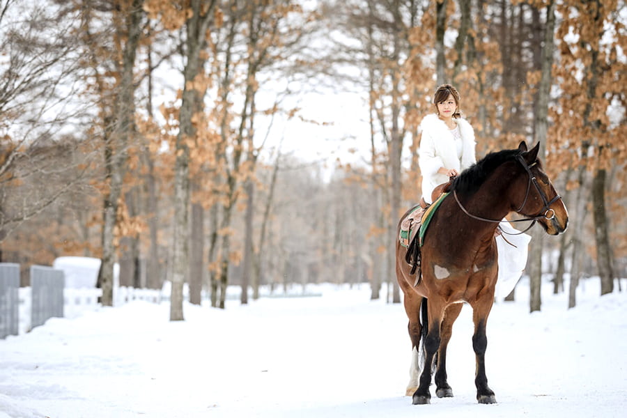 Tomakomai Nhật Bản - Thành phố "sạch sẽ" nhất Hokkaido