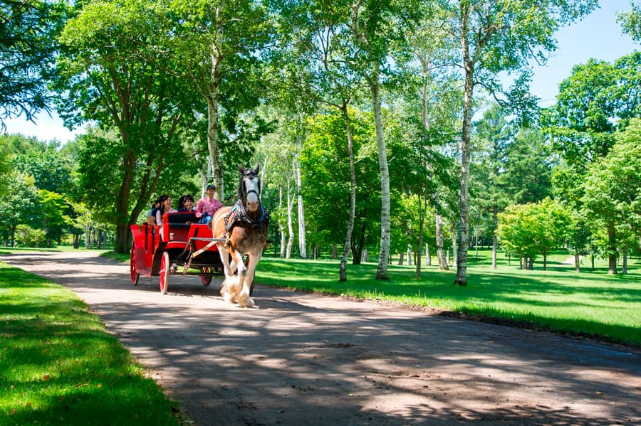 Tomakomai Nhật Bản - Thành phố "sạch sẽ" nhất Hokkaido