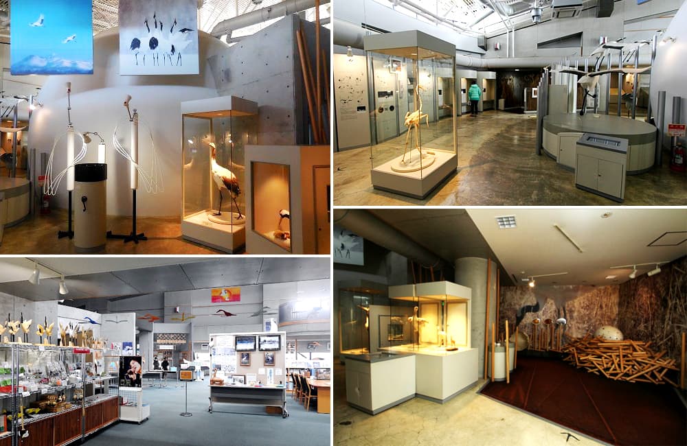 Akan International Crane Center: "Ngôi nhà" của sếu đầu đỏ