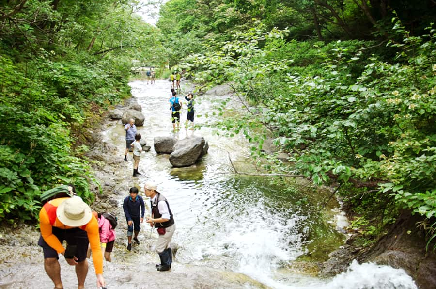 Kamuiwakka Hot Waterfall