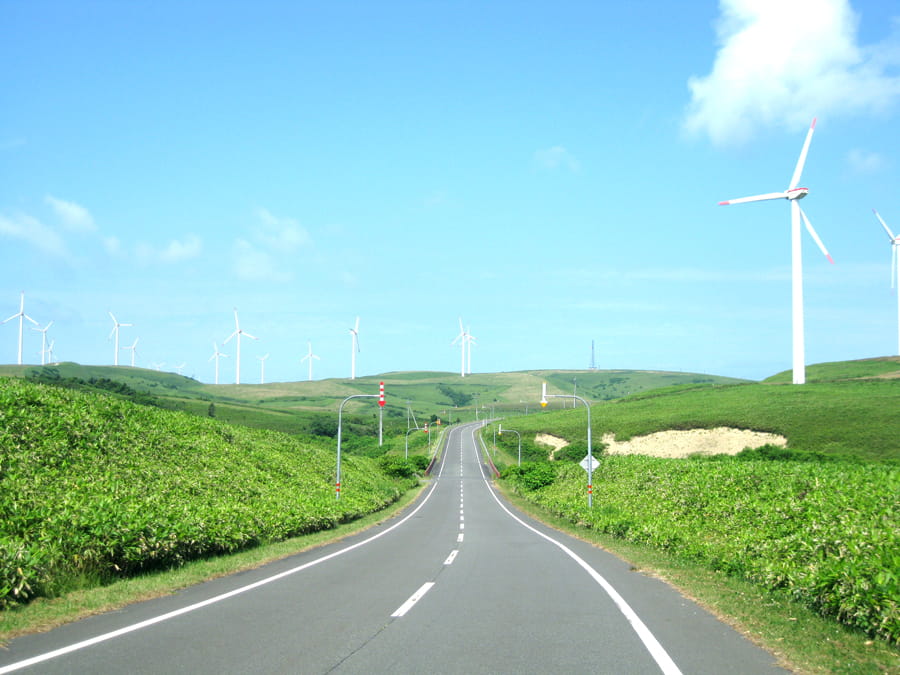 WindFarm Road