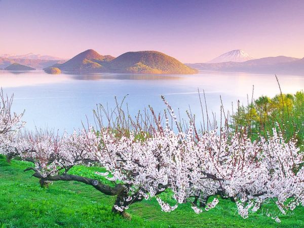 Hồ Toya (Toya Lake) - Vẻ đẹp của "Đệ nhất hồ" tại Hokkaido