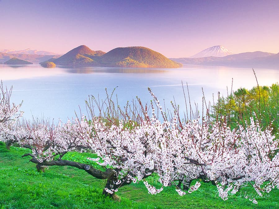 Hồ Toya (Toya Lake) - Vẻ đẹp của "Đệ nhất hồ" tại Hokkaido