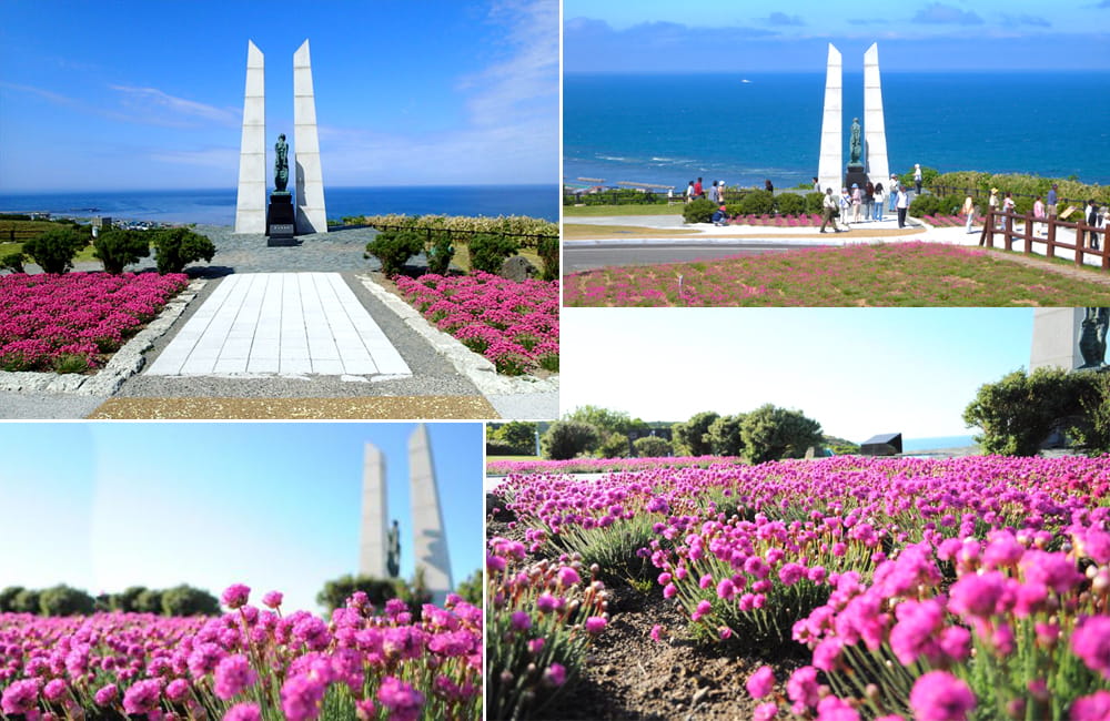 Wakkanai Park - Dạo quanh công viên lớn nhất Hokkaido