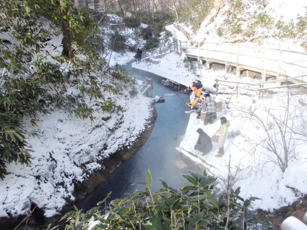 Oyunuma Natural Footbath: Suối nước nóng giữa rừng rậm