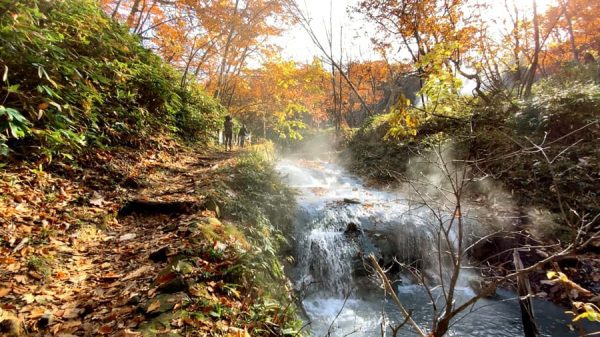 Oyunuma Natural Footbath: Suối nước nóng giữa rừng rậm
