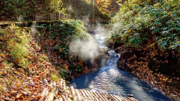 Oyunuma Natural Footbath: Suối nước nóng giữa rừng rậm