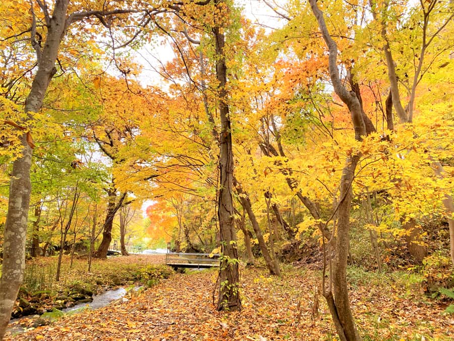 Hồ Toya (Toya Lake) - Vẻ đẹp của "Đệ nhất hồ" tại Hokkaido