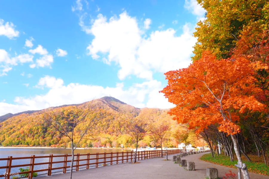 Hồ Toya (Toya Lake) - Vẻ đẹp của "Đệ nhất hồ" tại Hokkaido